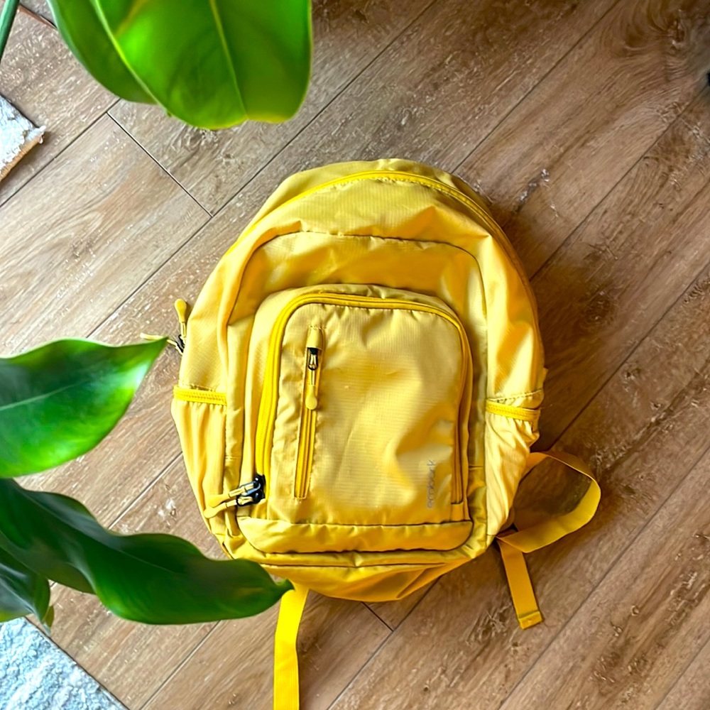 Embark Backpack - good condition